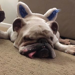 Meet your Posher, Clay